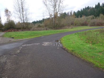 Junction of two hard surface trails on Salmon Creek Greenway Trail – lip on the side of trail with grass